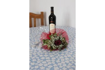 Hrvatska Privát Starigrad Paklenica, Eksterijer